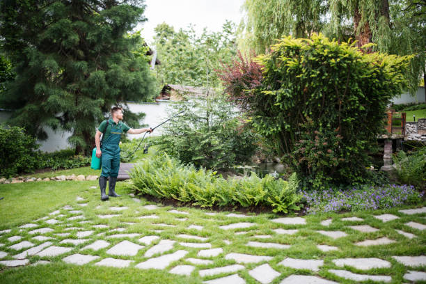 Best Commercial Pest Control Services  in Barre, VT
